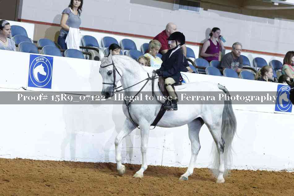 Proof Number 15R9_07122