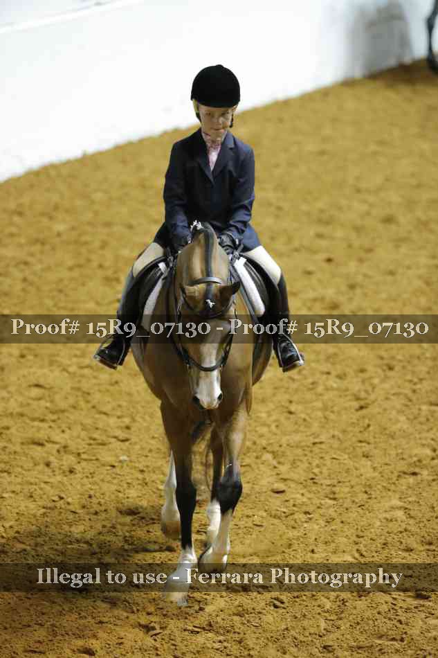 Proof Number 15R9_07130
