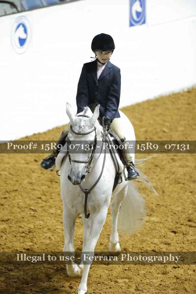 Proof Number 15R9_07131