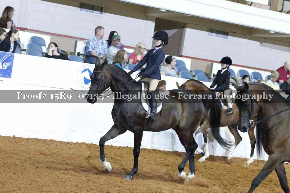 Proof Number 15R9_07135
