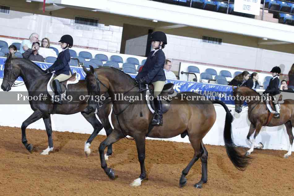 Proof Number 15R9_07136