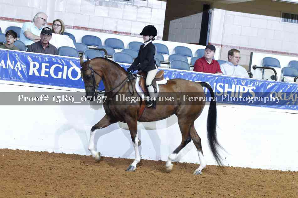 Proof Number 15R9_07137