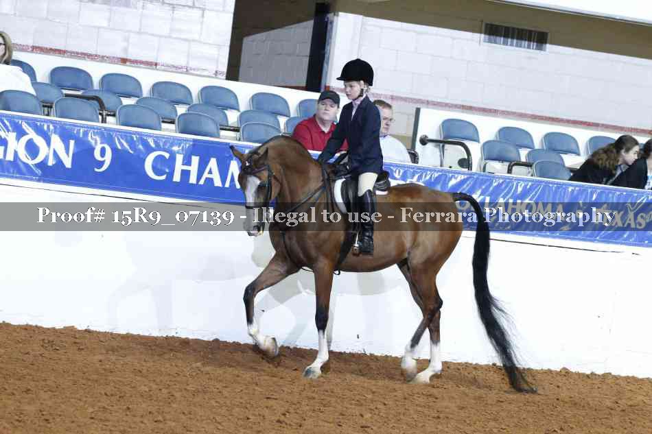 Proof Number 15R9_07139