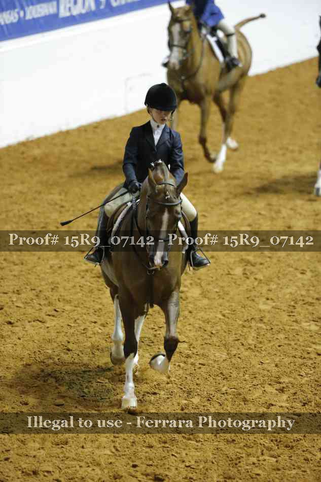 Proof Number 15R9_07142