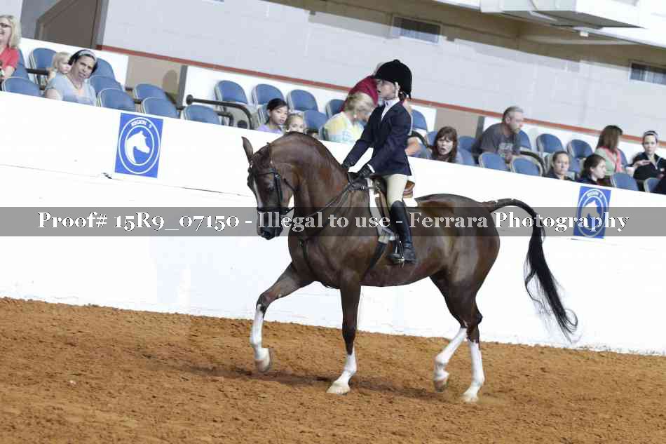 Proof Number 15R9_07150