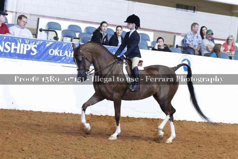 Proof Number 15R9_07151