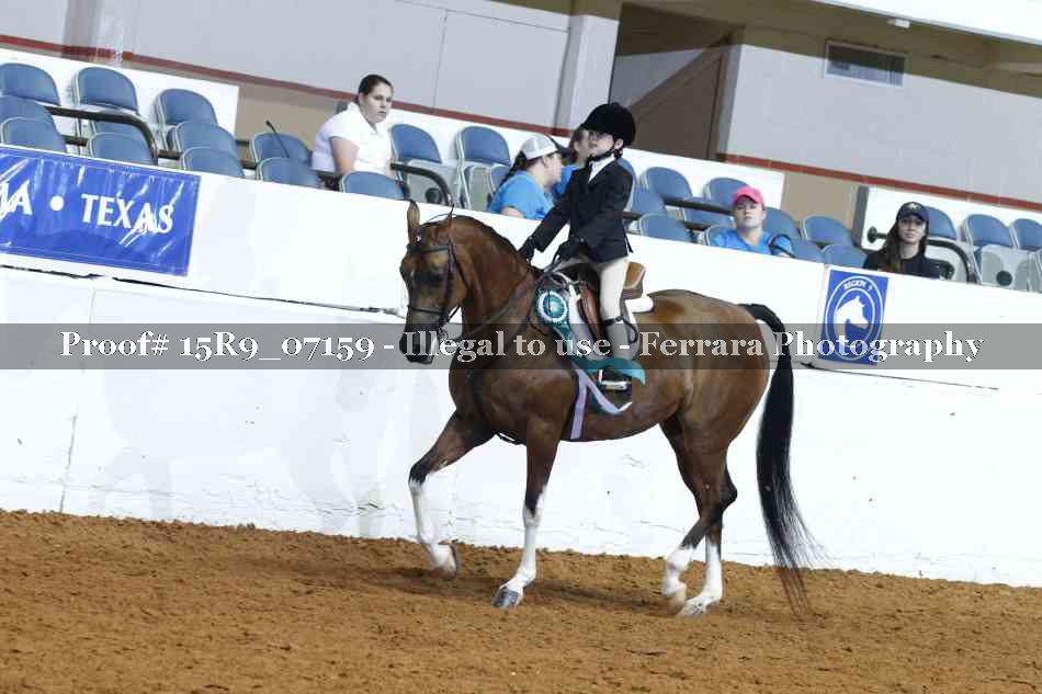 Proof Number 15R9_07159