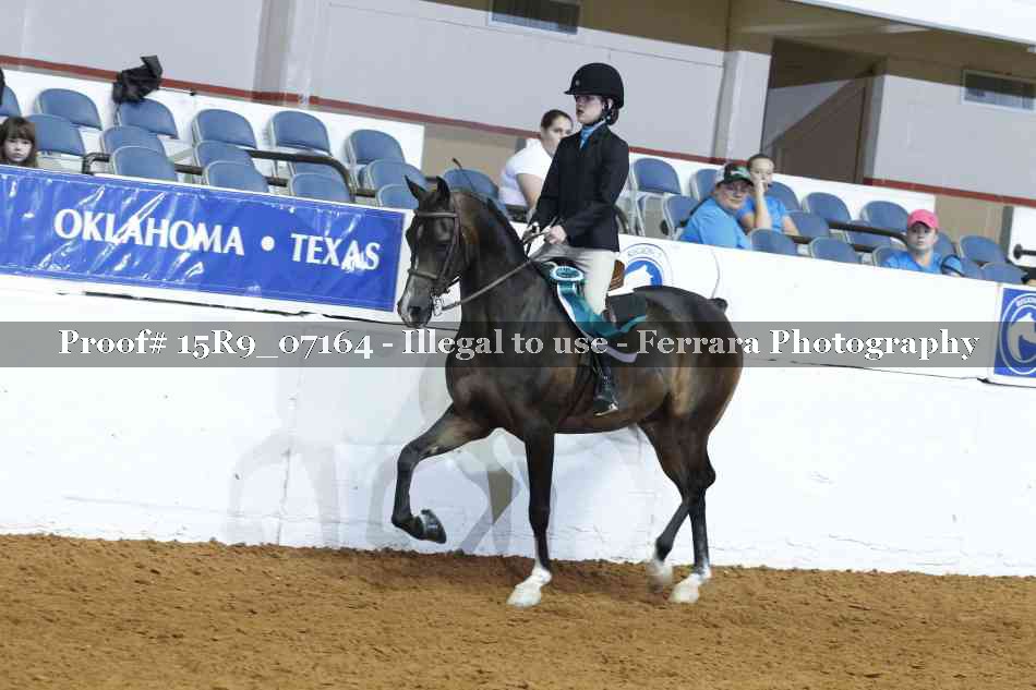 Proof Number 15R9_07164