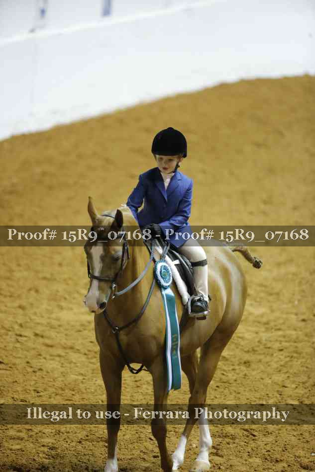 Proof Number 15R9_07168