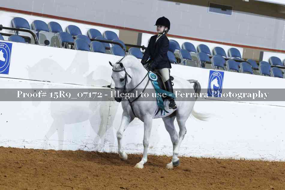 Proof Number 15R9_07172