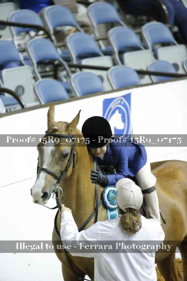 Proof Number 15R9_07175