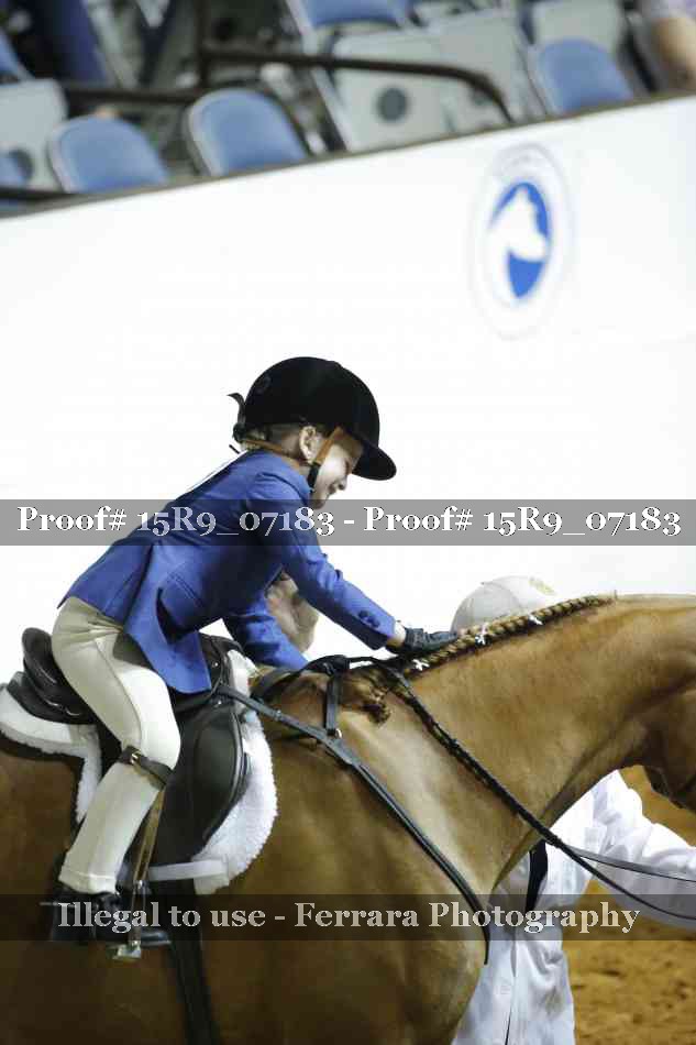 Proof Number 15R9_07183