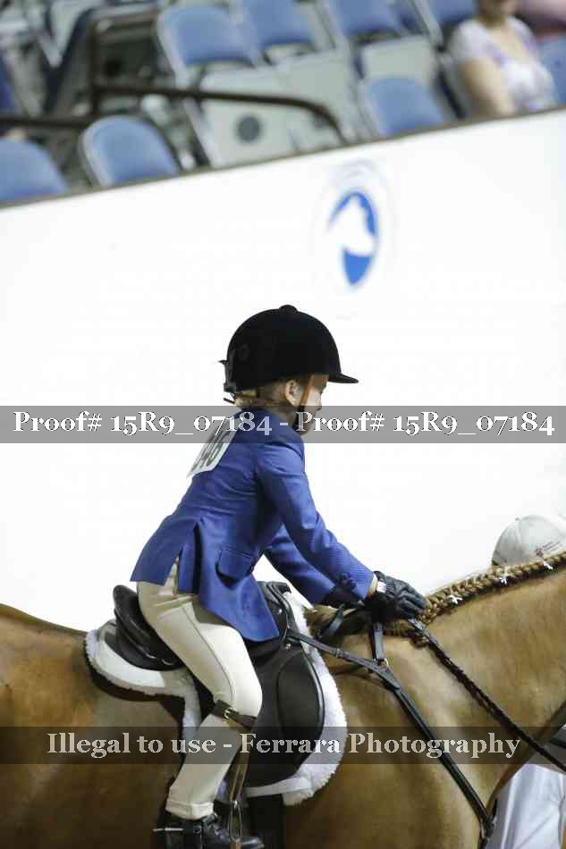 Proof Number 15R9_07184