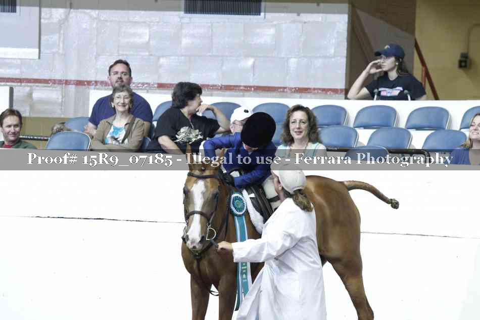 Proof Number 15R9_07185