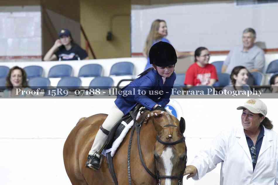 Proof Number 15R9_07188