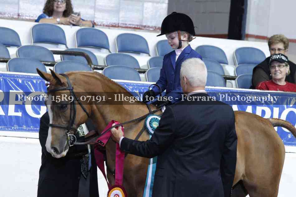 Proof Number 15R9_07191
