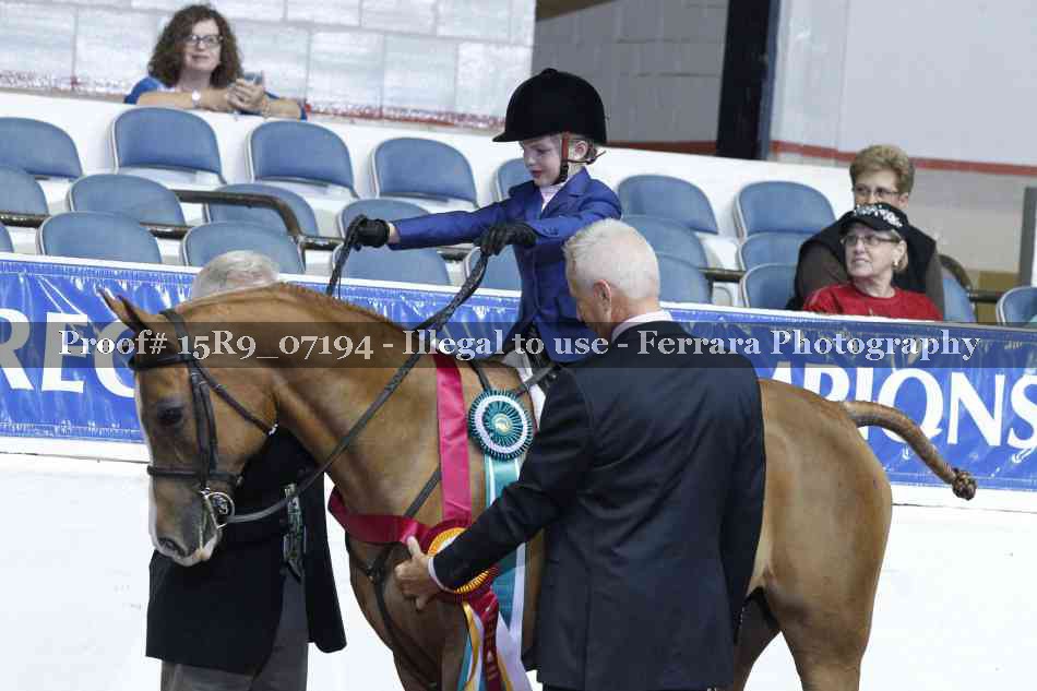Proof Number 15R9_07194