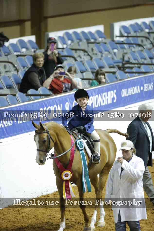 Proof Number 15R9_07198