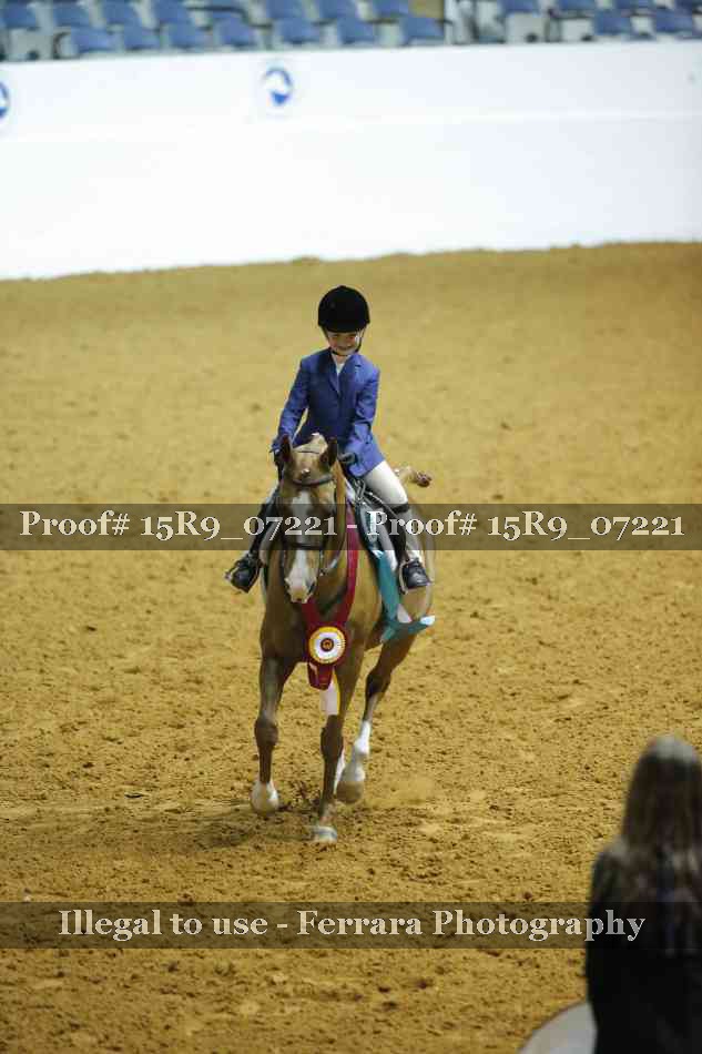 Proof Number 15R9_07221