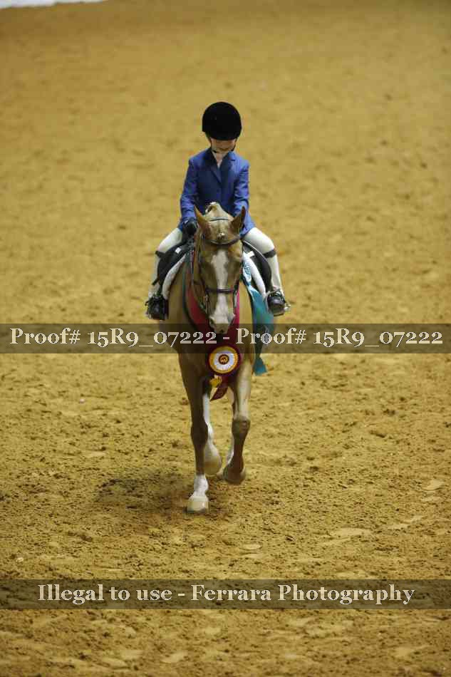 Proof Number 15R9_07222