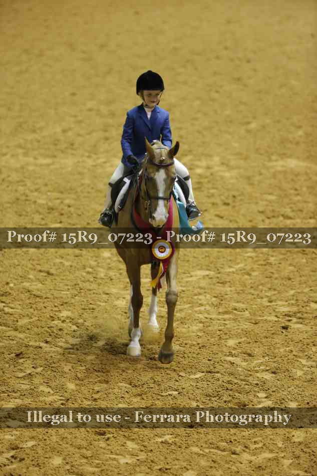 Proof Number 15R9_07223