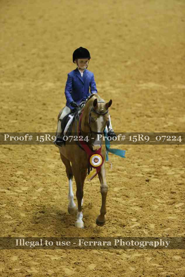 Proof Number 15R9_07224