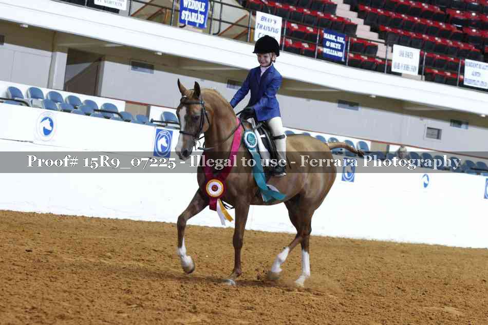 Proof Number 15R9_07225