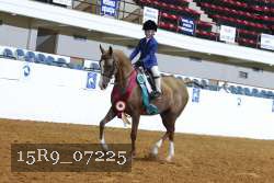 15R9_07225 thumbnail