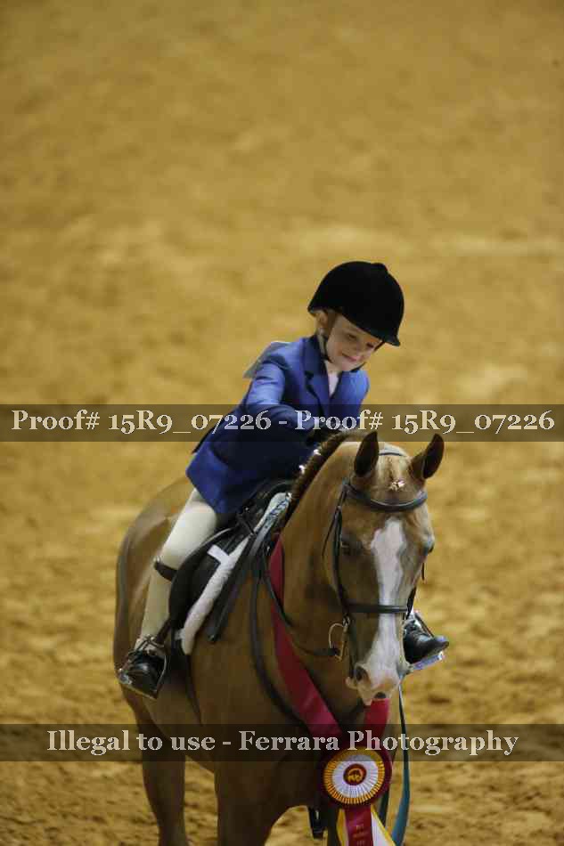 Proof Number 15R9_07226