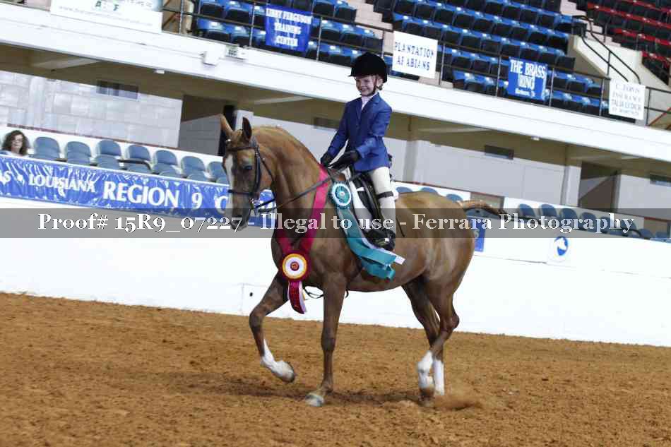 Proof Number 15R9_07227