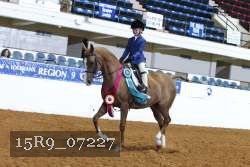 15R9_07227 thumbnail