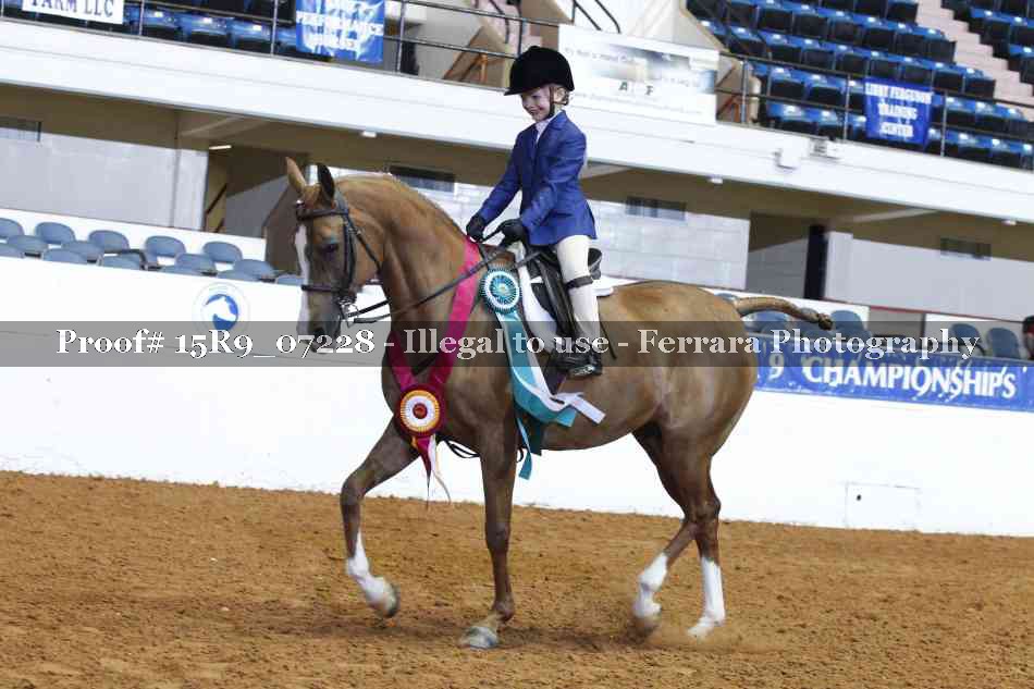 Proof Number 15R9_07228