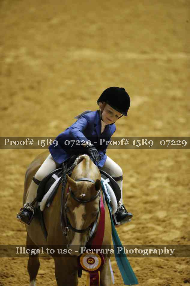Proof Number 15R9_07229