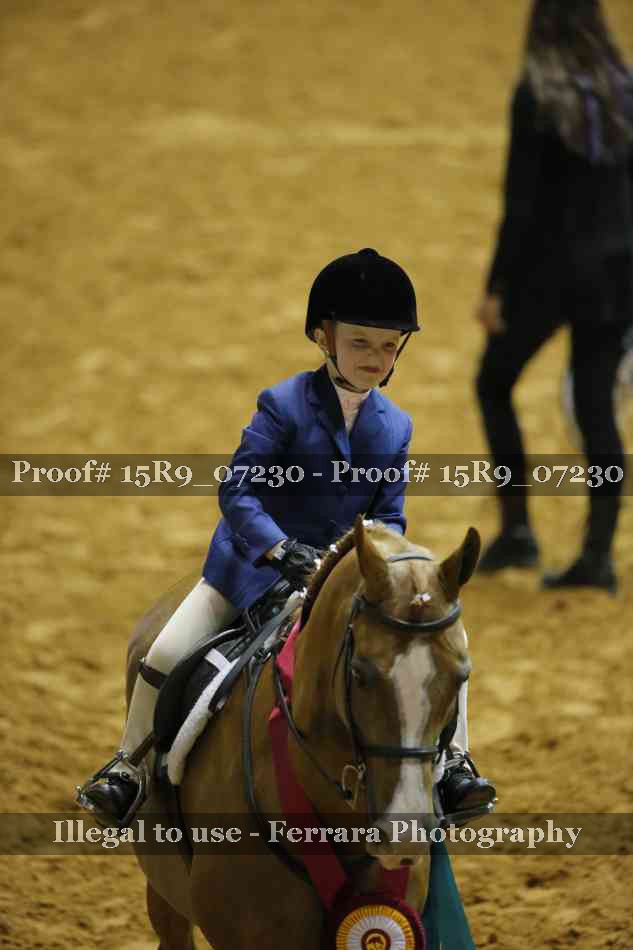 Proof Number 15R9_07230