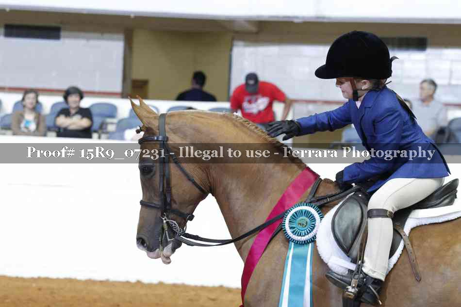 Proof Number 15R9_07231