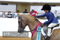 15R9_07231 thumbnail
