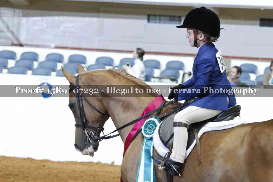 Proof Number 15R9_07232