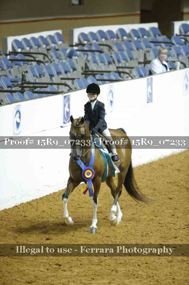 Proof Number 15R9_07233