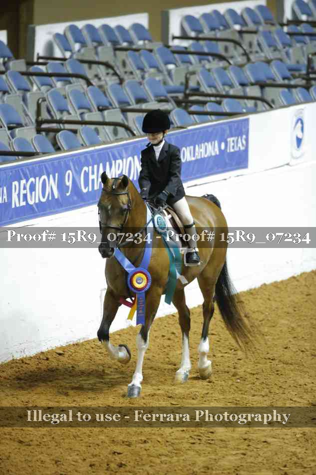 Proof Number 15R9_07234