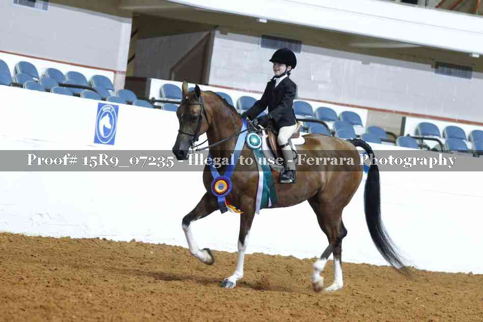 Proof Number 15R9_07235