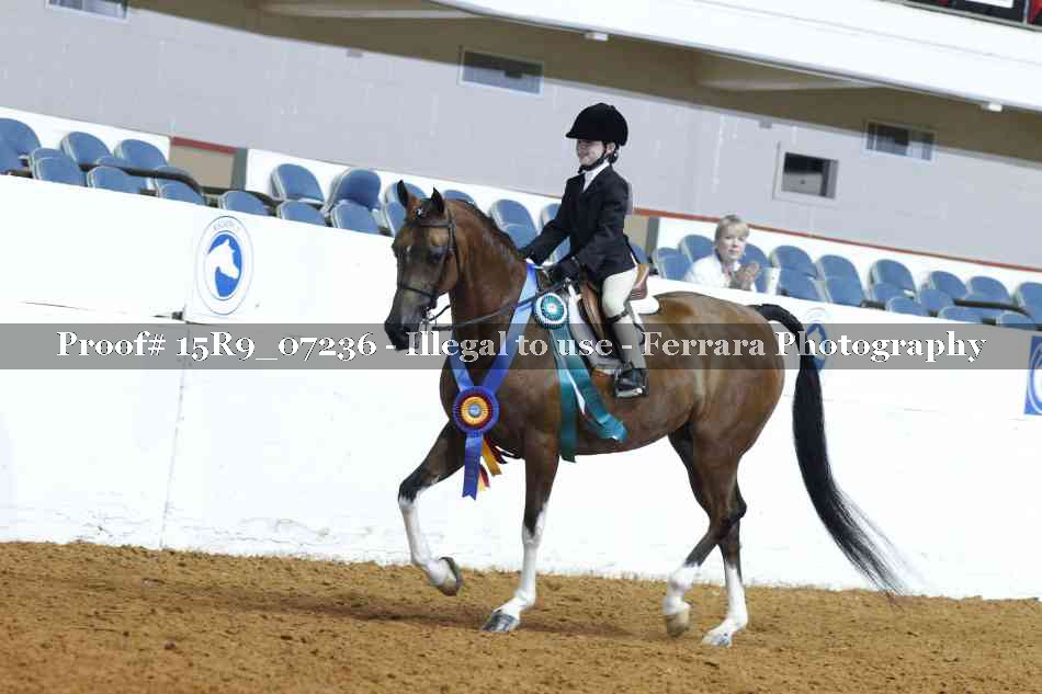 Proof Number 15R9_07236