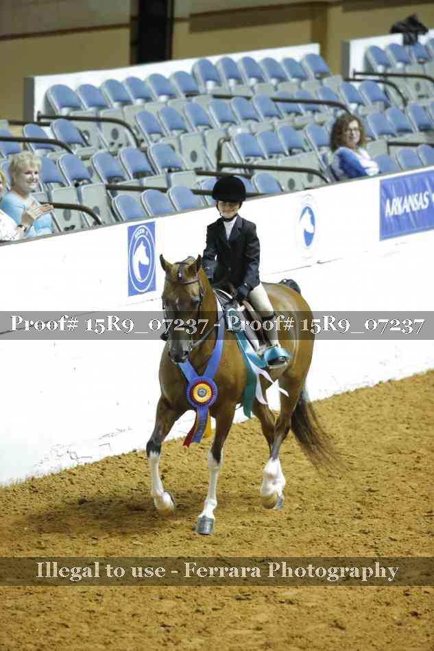Proof Number 15R9_07237