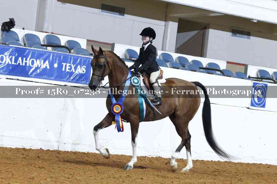 Proof Number 15R9_07238