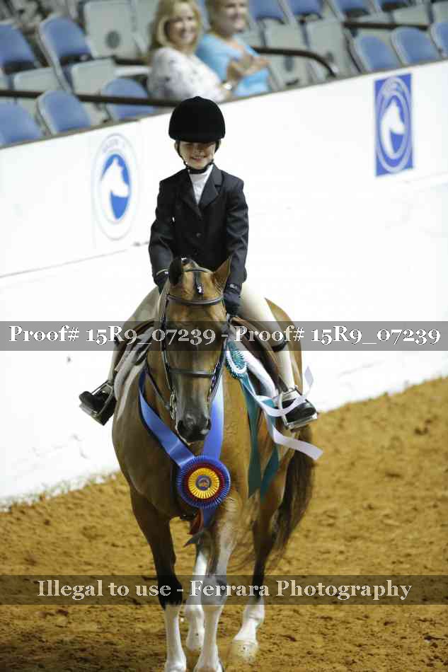 Proof Number 15R9_07239