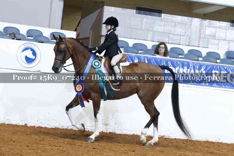 Proof Number 15R9_07240