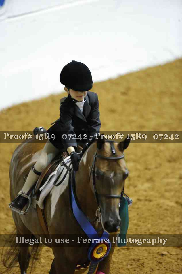 Proof Number 15R9_07242