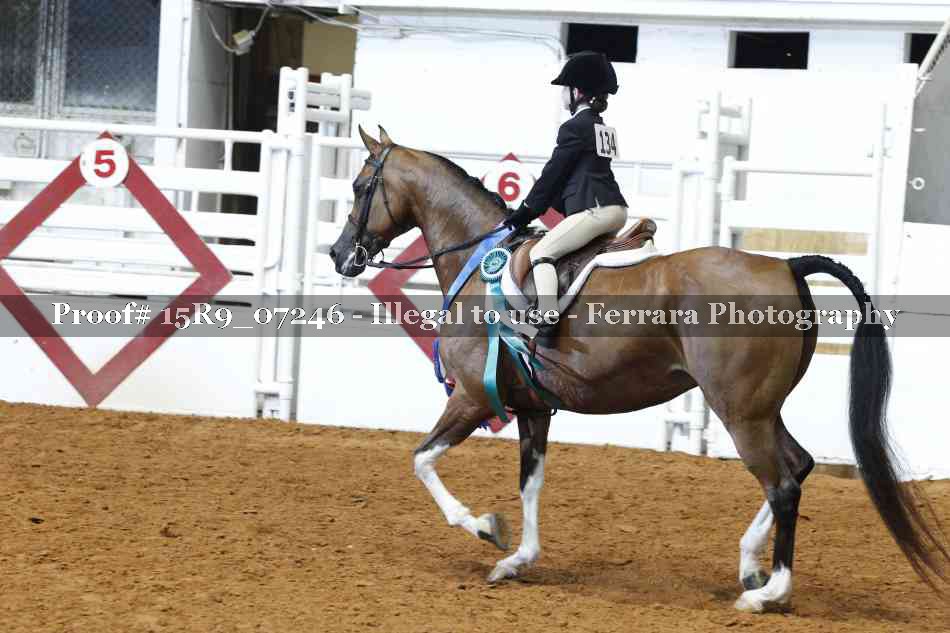 Proof Number 15R9_07246