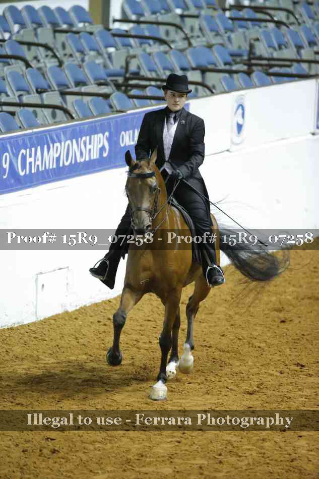 Proof Number 15R9_07258