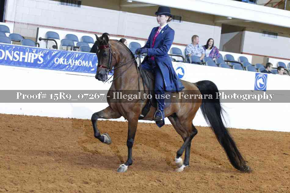 Proof Number 15R9_07267