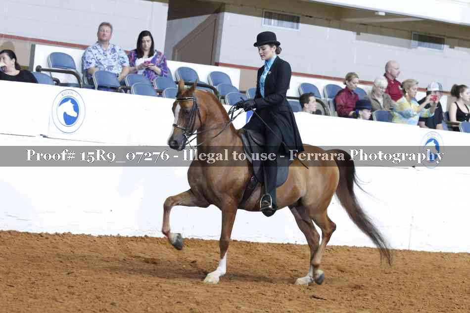 Proof Number 15R9_07276
